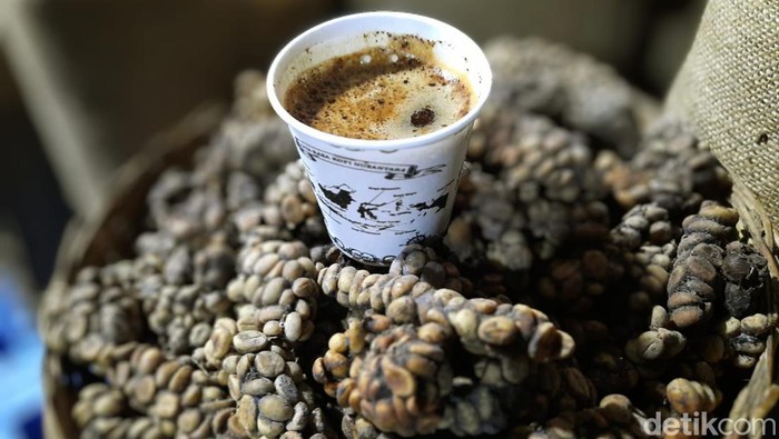 Bondowoso coffee draws European interest as export potential explored