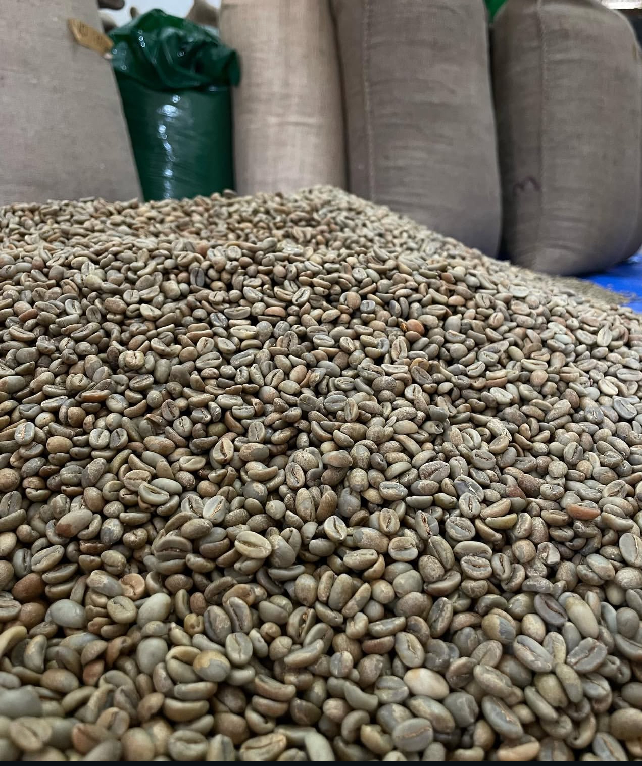 Green Bean Arabica Natural (Grade 1-4)